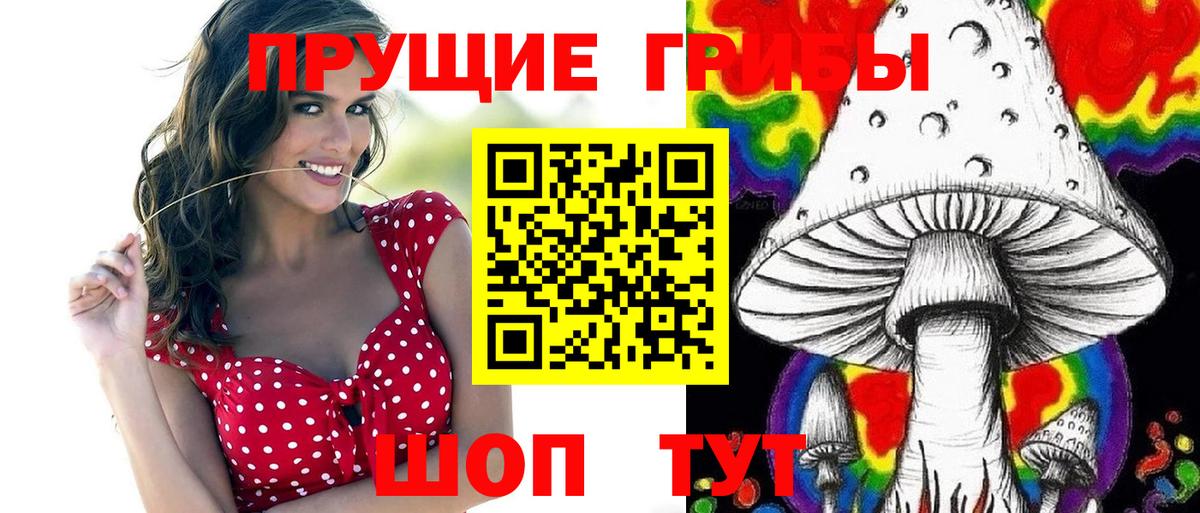Галлюциногенные грибы Psilocybine cubensis Саяногорск